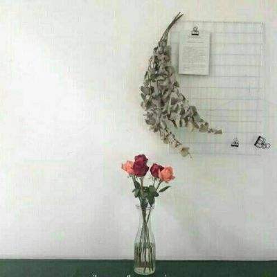 大发彩票官方官方平台app